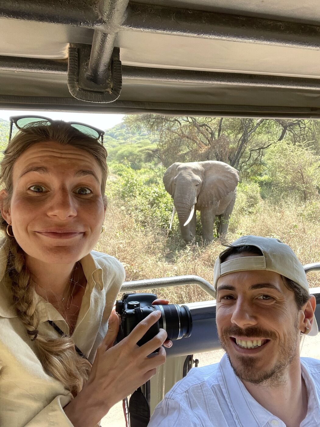 Safari in Africa con l'elefante